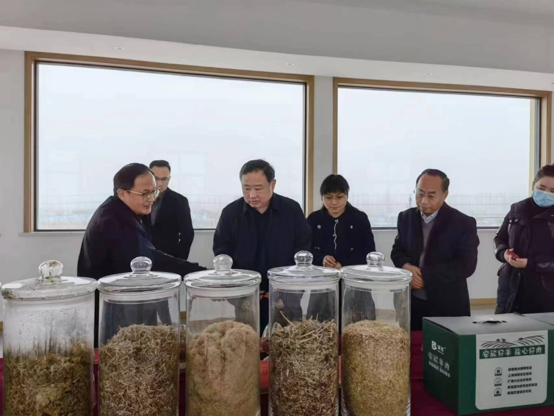 安徽省政研中心副主任季翔一行深入安欣牧业调研，共谋畜牧渔业饲料产业高质量发展新路径
