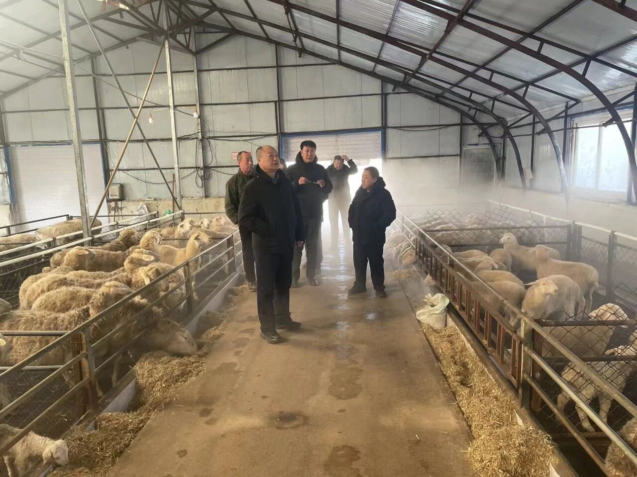 兴安盟农牧局深入扎赉特旗 专项检查筑牢畜牧渔业饲料安全生产防线