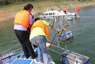 四级联动 铁腕护渔——富宁县多部门联合执法保障剥隘库区渔业健康发展